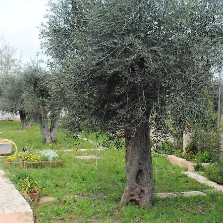 Microborgopasca Sannicola