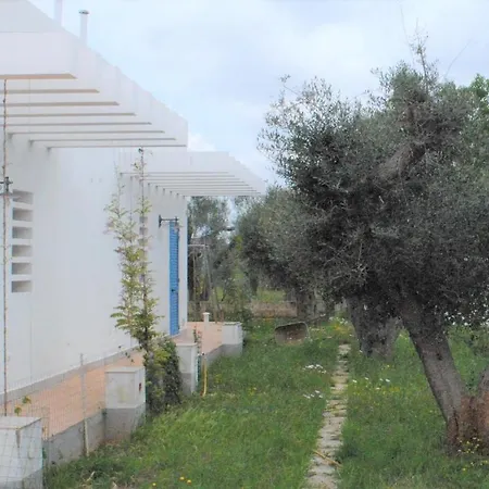 Bed & Breakfast Microborgopasca