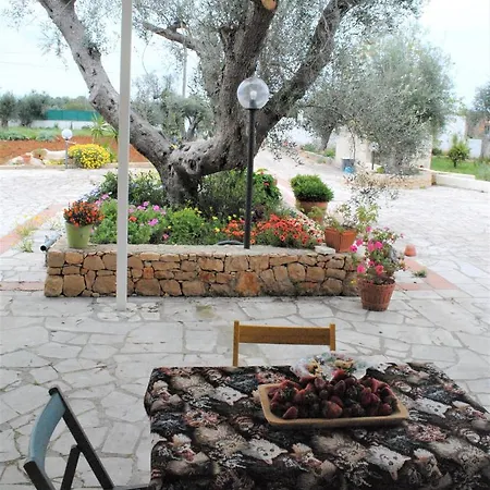 Bed & Breakfast Microborgopasca 3*